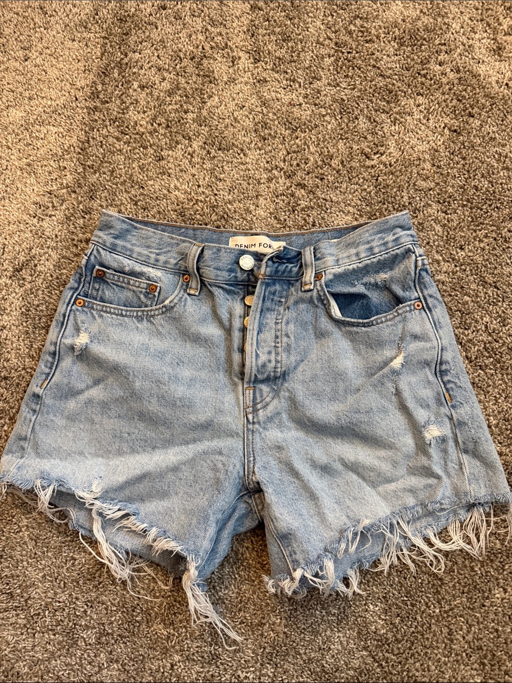 Aritzia- Denim Forum Light Blue Distressed High-Rise Denim Shorts
